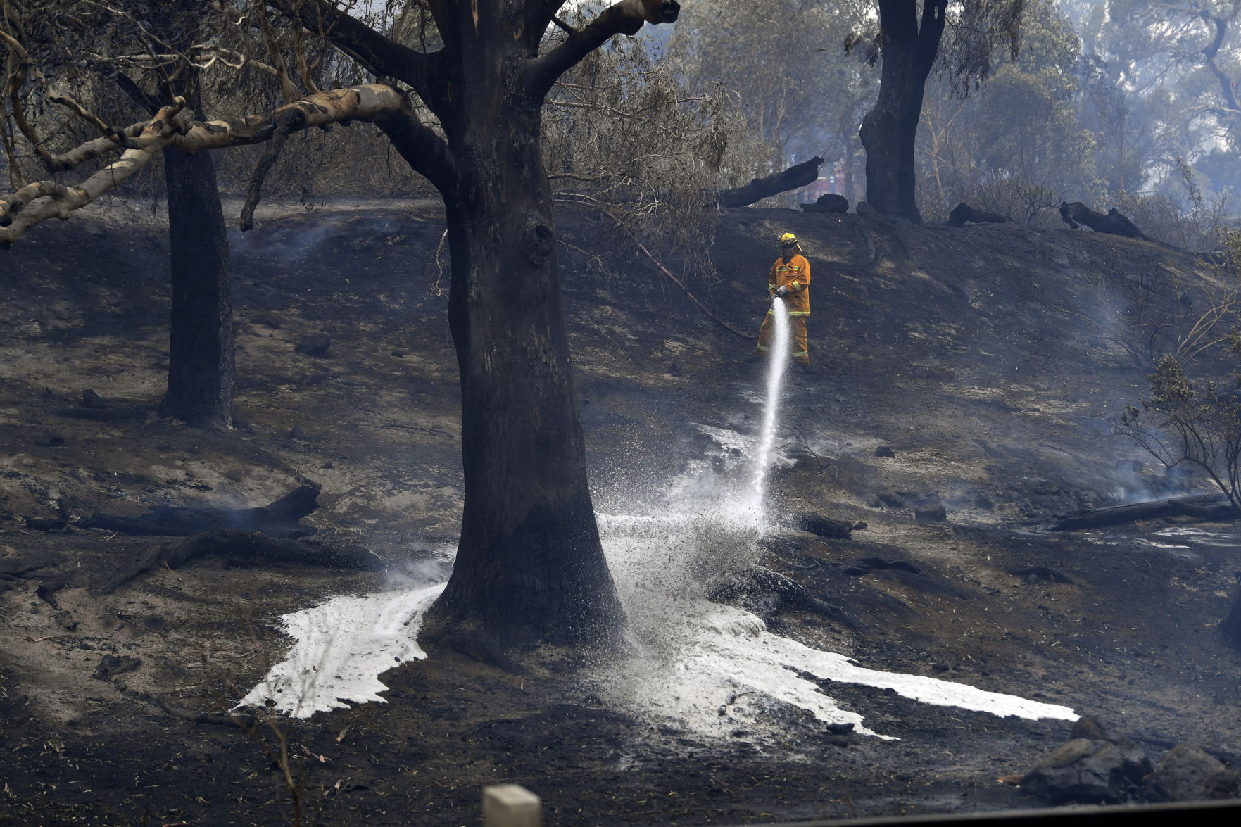 Australia wildfires